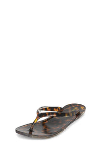 BEACH-DAY Tortoise _hover