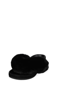 DELULU-F Black Combo _hover