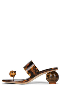 LATUS Tortoise