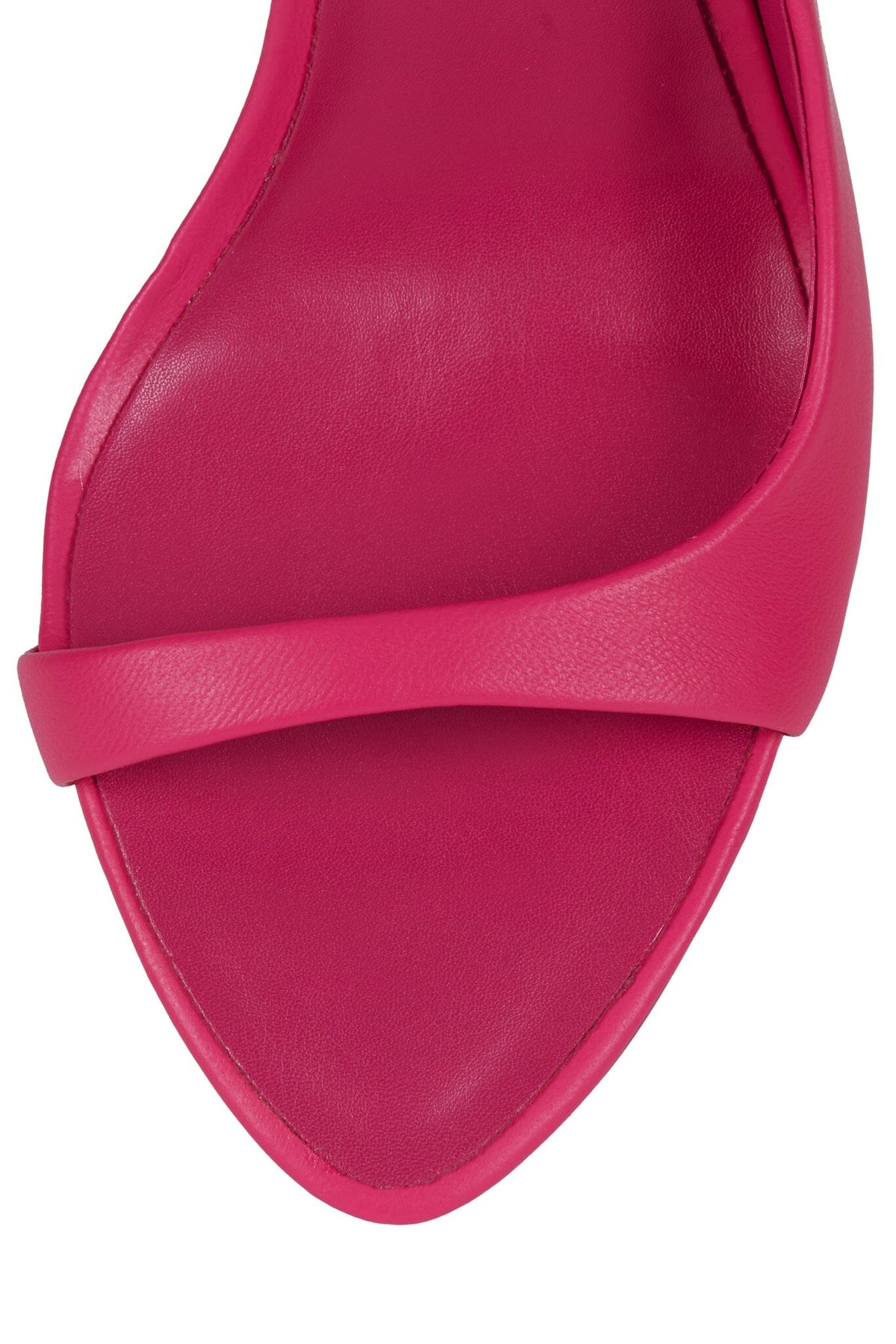PENUMBRA Fuchsia 4