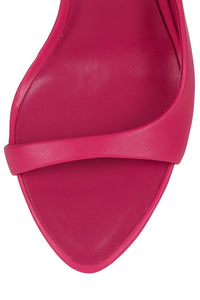 PENUMBRA Fuchsia 4