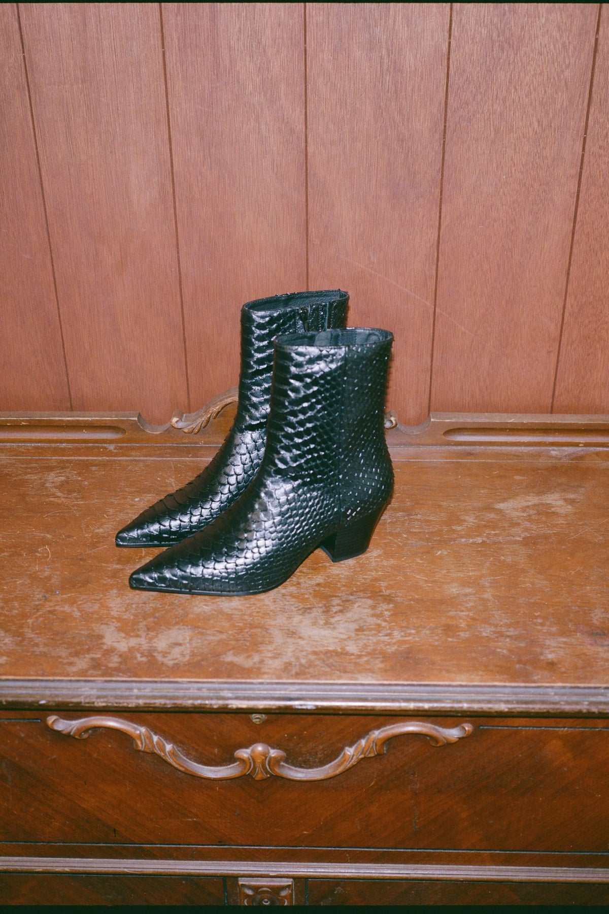 JOSHUATREE Jeffrey Campbell Ankle Boot Black Snake 