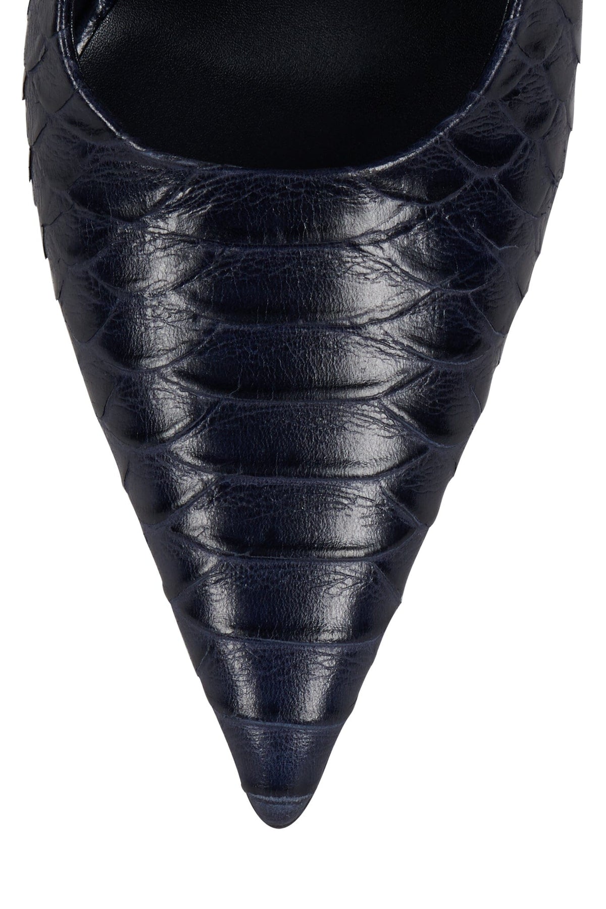 SURPASS Jeffrey Campbell Slingback Heel Navy Snake