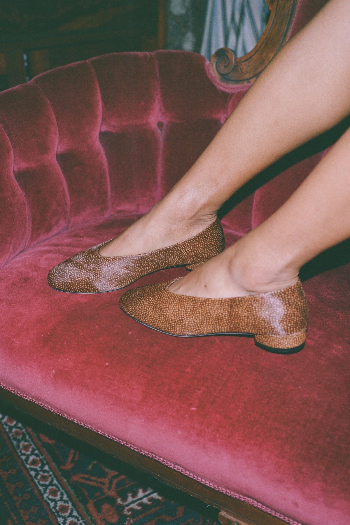 TRUSTEE-F Jeffrey Campbell Kitten Heel Brown Dot _hover